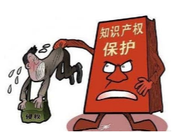 美國海關(guān)嚴(yán)抓知識(shí)產(chǎn)權(quán)侵權(quán)貨物，賣家別再鋌而走險(xiǎn)